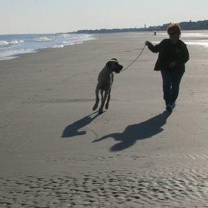 Meet your Posher, Connie